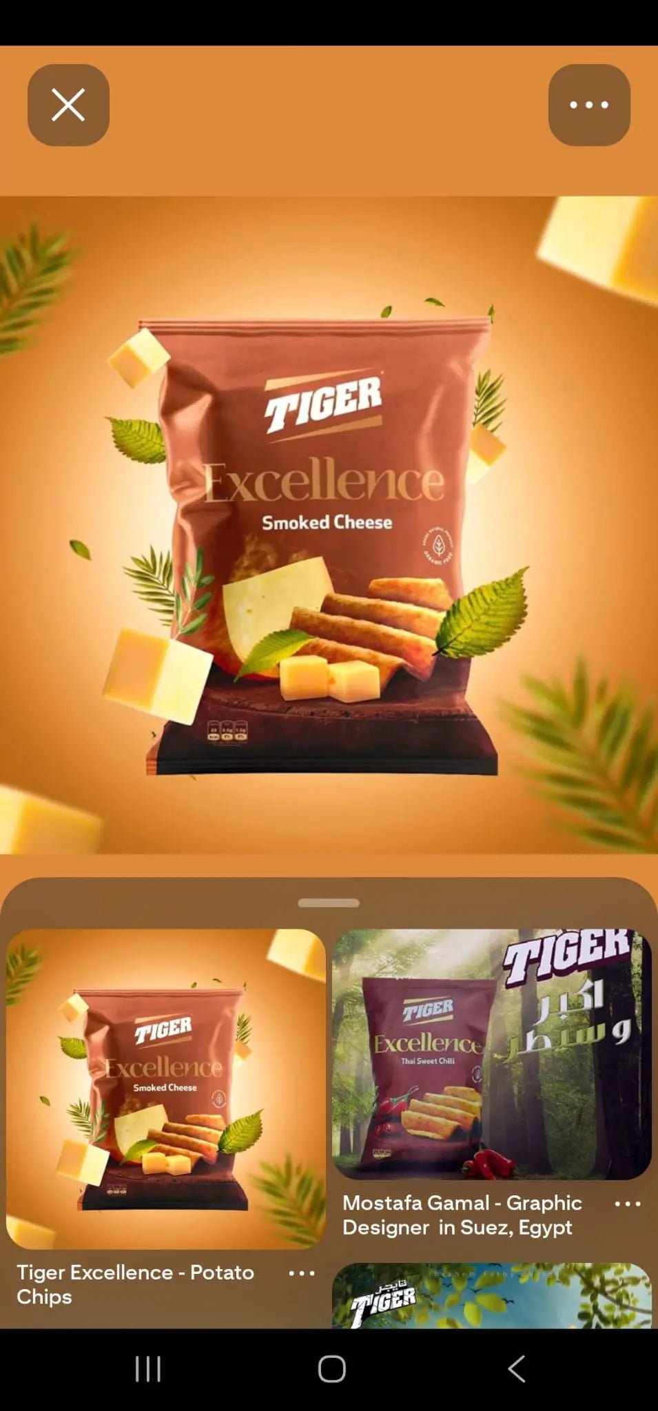 Smoked Cheese - Tiger Excellence - 10X90 Gram - fresh produced.