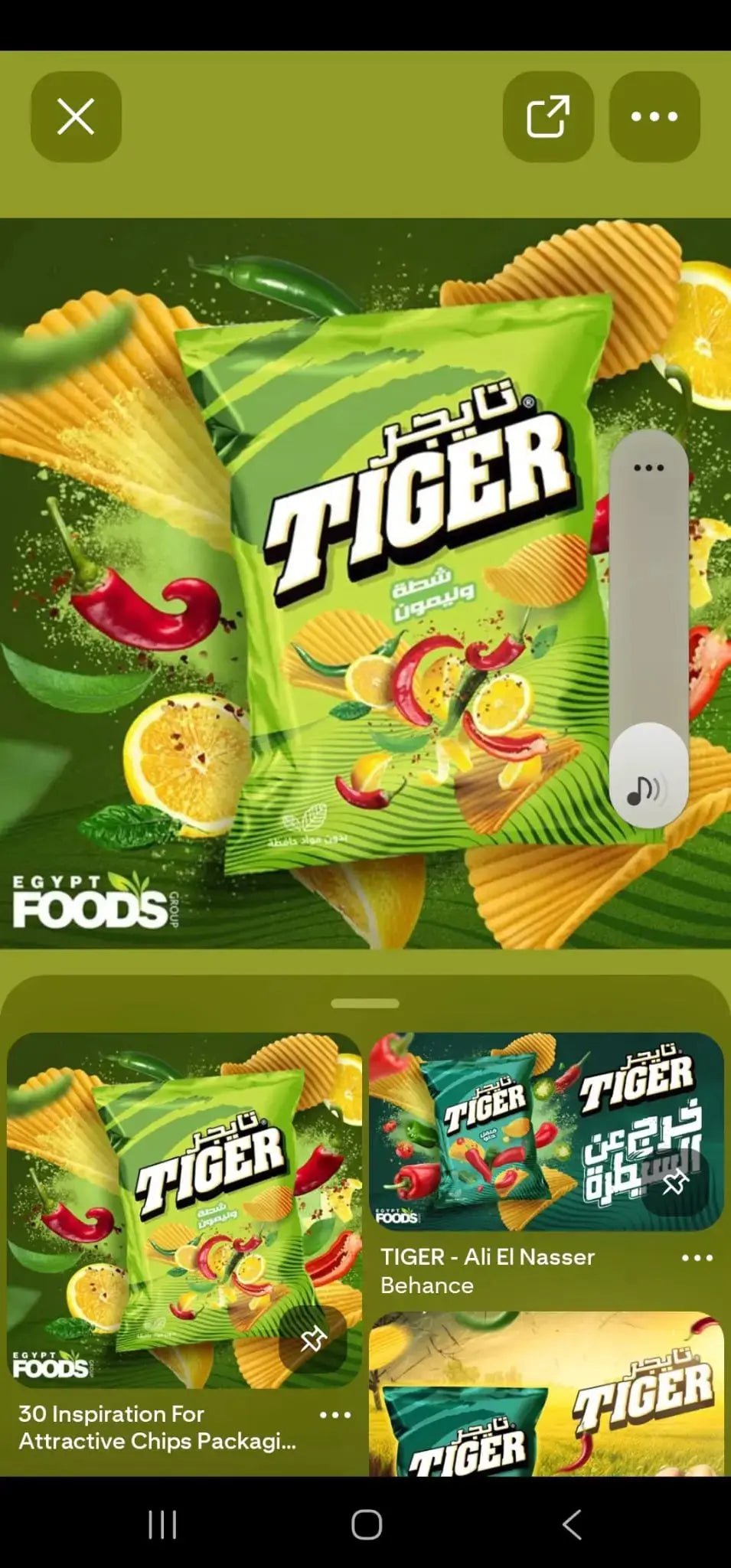 tiger chips. - fresh produced.